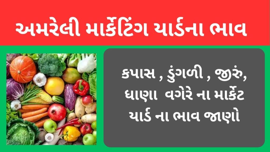 અમરેલી માર્કેટિંગ યાર્ડના ભાવ